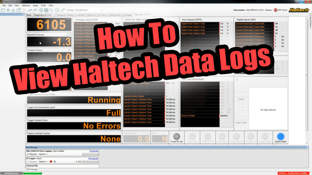 haltech data log viewer